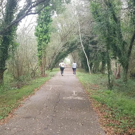 Big Fish 1 - Charming