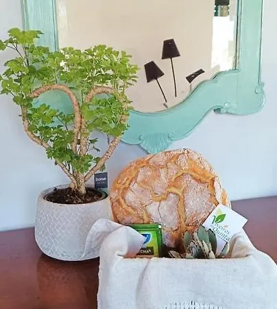 Big Fish 1 - Charming Appartement *