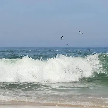 Appartement Big Fish 1 - Charming *