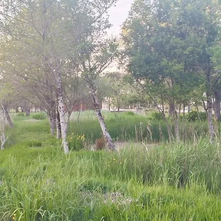 Appartement Big Fish 1 - Charming Praia de Mira