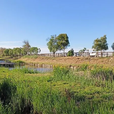 Big Fish 1 - Charming Praia de Mira