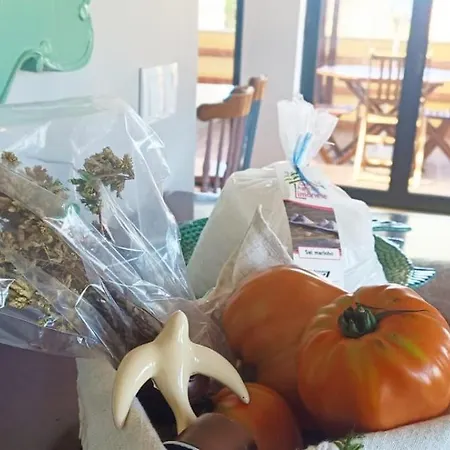 Big Fish 1 - Charming *