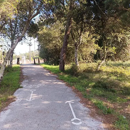 Big Fish 1 - Charming Appartement *