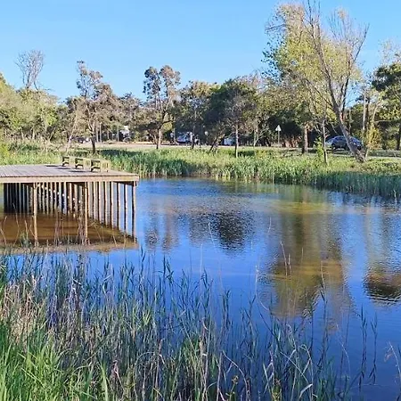 Big Fish 1 - Charming *