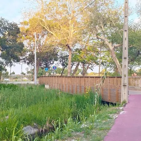 Big Fish 1 - Charming Apartament *