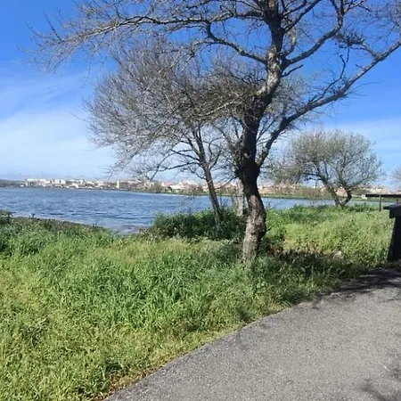 Big Fish 1 - Charming * Praia de Mira