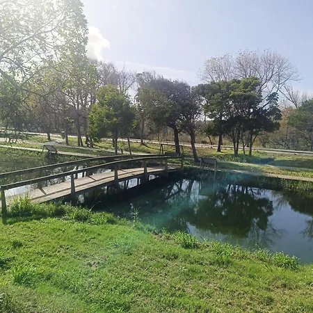 Apartament Big Fish 1 - Charming Praia de Mira