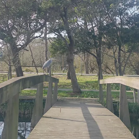 Big Fish 1 - Charming Praia de Mira