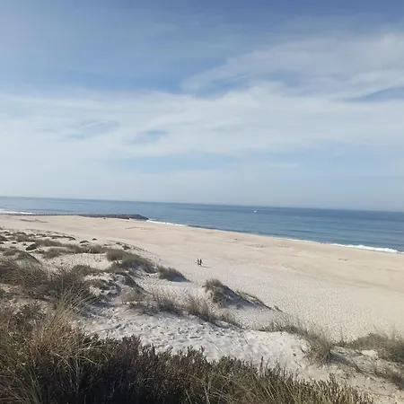 Big Fish 1 - Charming