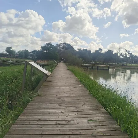 Big Fish 1 - Charming Apartament