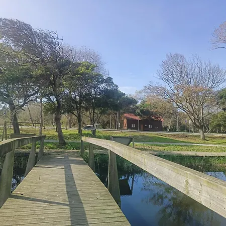 Apartament Big Fish 1 - Charming *