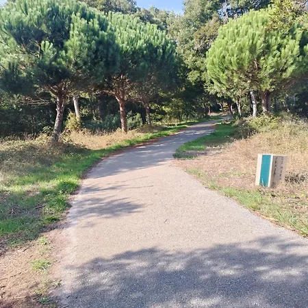 Big Fish 1 - Charming Praia de Mira