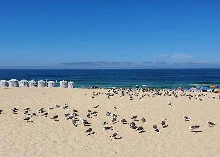 Big Fish 1 - Charming * Praia de Mira