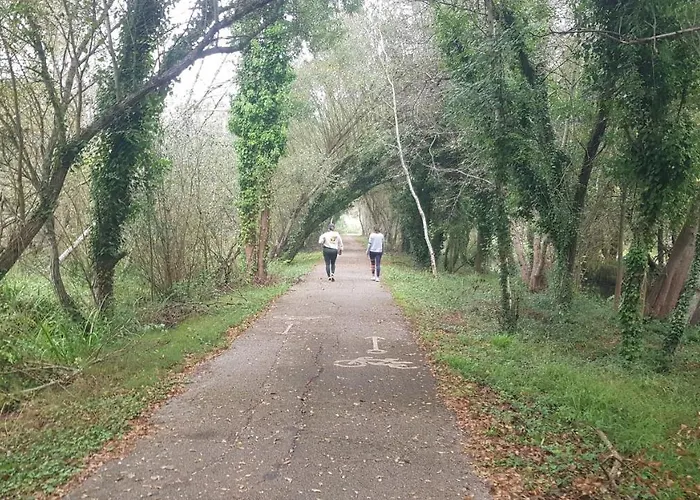 Big Fish 1 - Charming