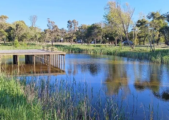 Big Fish 1 - Charming *