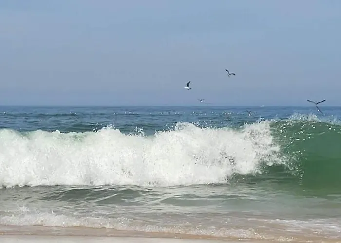 Appartement Big Fish 1 - Charming *