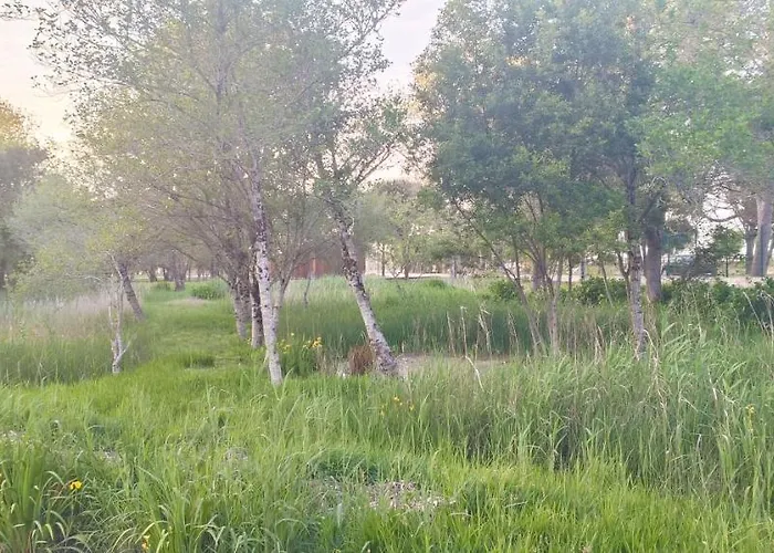 Appartement Big Fish 1 - Charming Praia de Mira