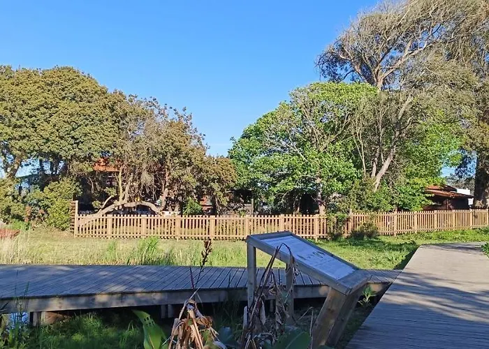 Big Fish 1 - Charming Appartement Praia de Mira