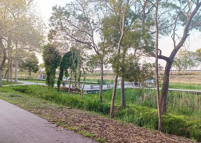 Big Fish 1 - Charming Appartement