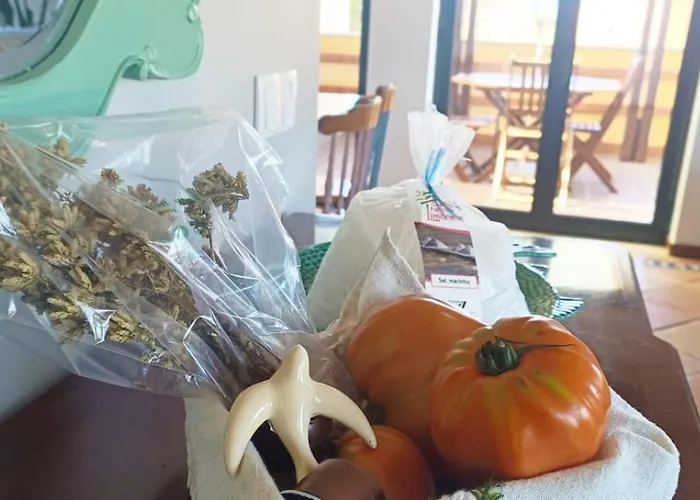 Big Fish 1 - Charming *