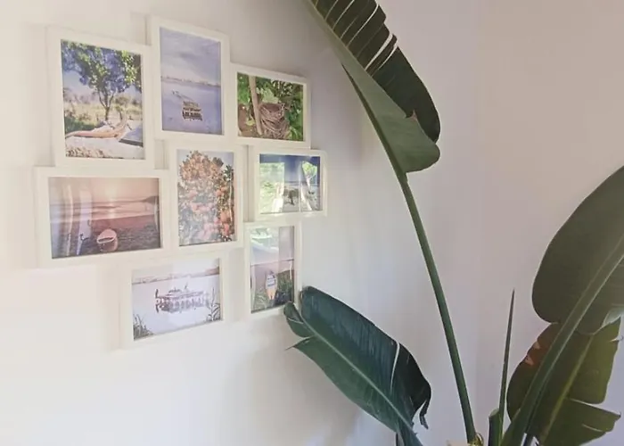 Big Fish 1 - Charming Appartement *