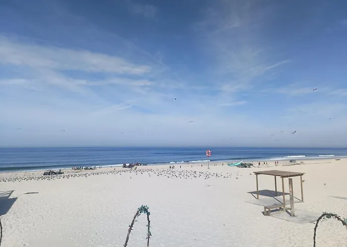 Big Fish 1 - Charming Appartement Praia de Mira