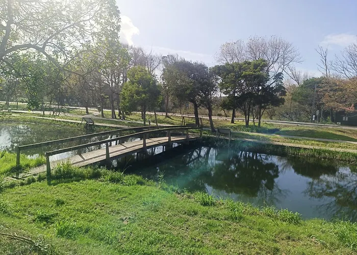 Appartement Big Fish 1 - Charming Praia de Mira