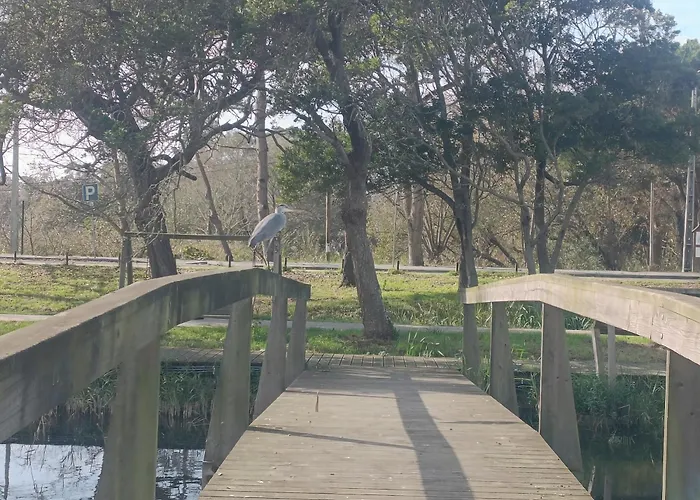 Big Fish 1 - Charming Praia de Mira