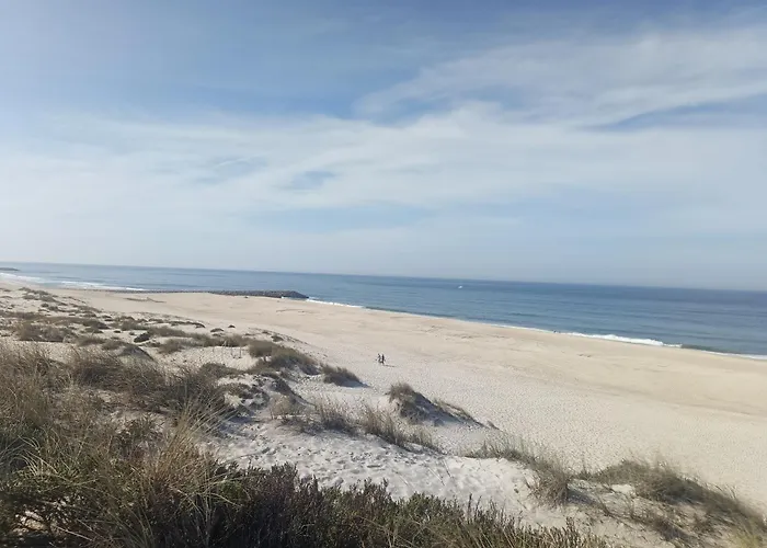 Big Fish 1 - Charming