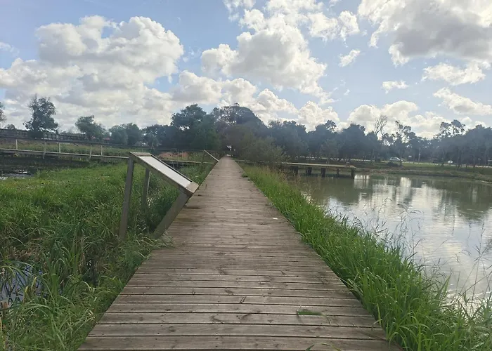 Big Fish 1 - Charming Appartement