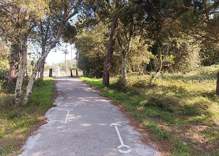 Big Fish 1 - Charming Appartement *