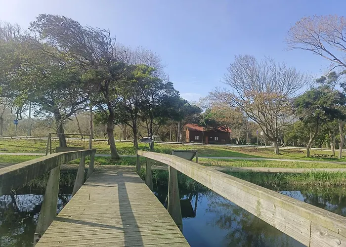 Appartement Big Fish 1 - Charming *