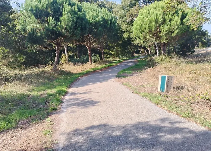 Big Fish 1 - Charming Praia de Mira